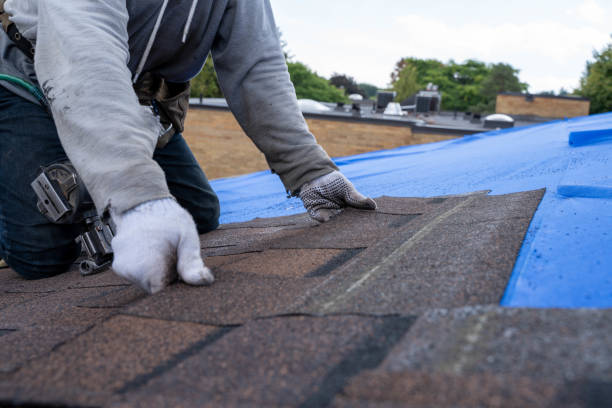 Roof Coating Services in Louisville, IL